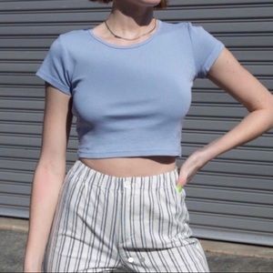 BNWOT Brandy Melville cropped top